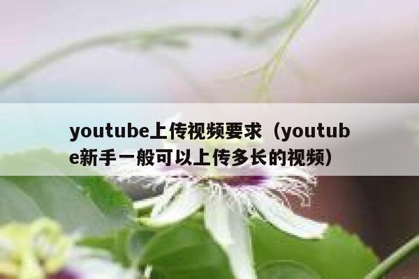 youtube上传视频要求（youtube新手一般可以上传多长的视频） 第1张