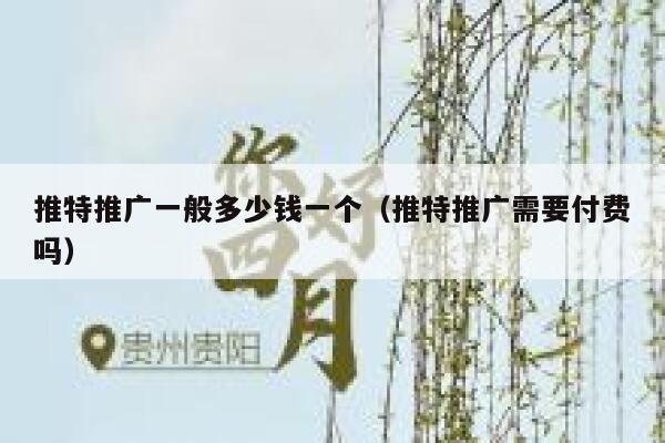 推特推广一般多少钱一个（推特推广需要付费吗） 第1张