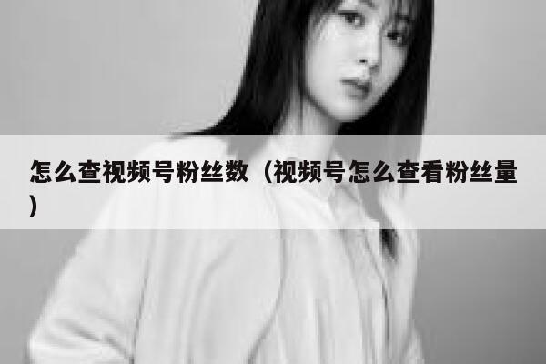 怎么查视频号粉丝数（视频号怎么查看粉丝量） 第1张