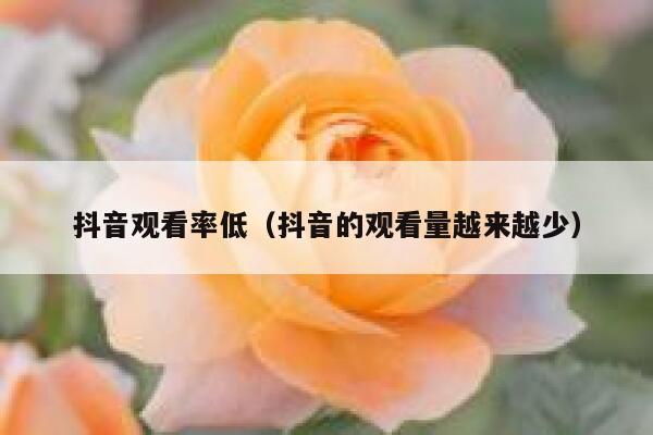 抖音观看率低（抖音的观看量越来越少） 第1张