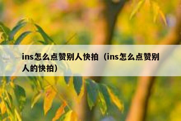 ins怎么点赞别人快拍（ins怎么点赞别人的快拍） 第1张