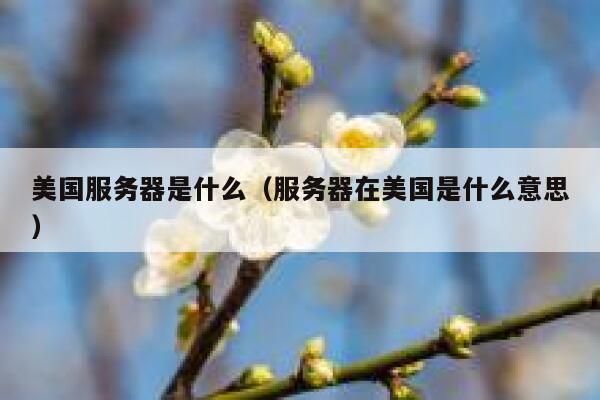 美国服务器是什么(服务器在美国是什么意思) 第1张 美国服务器是什么(服务器在美国是什么意思) 第1张