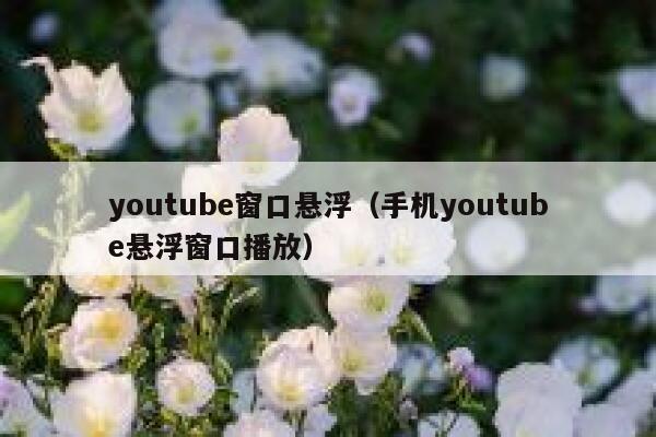 youtube窗口悬浮（手机youtube悬浮窗口播放） 第1张