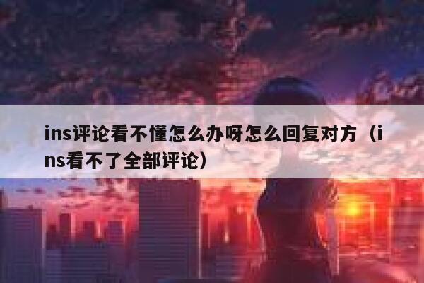 ins评论看不懂怎么办呀怎么回复对方（ins看不了全部评论） 第1张