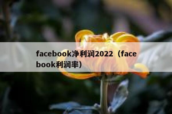 facebook净利润2022（facebook利润率） 第1张