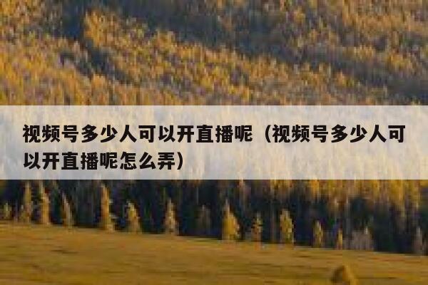 视频号多少人可以开直播呢（视频号多少人可以开直播呢怎么弄） 第1张