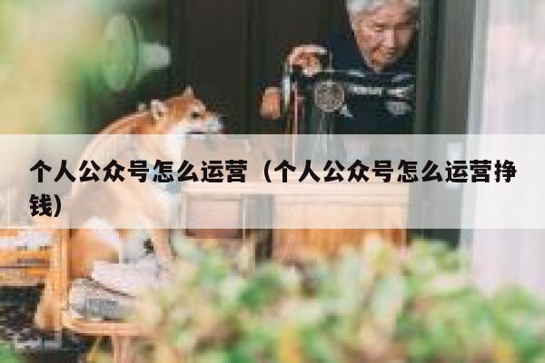 个人公众号怎么运营（个人公众号怎么运营挣钱） 第1张