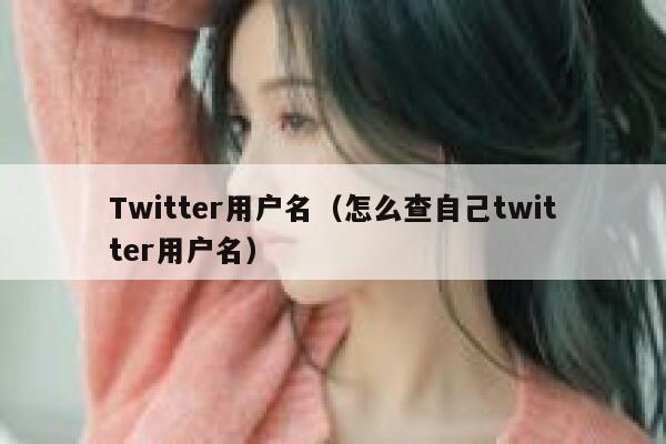 Twitter用户名（怎么查自己twitter用户名） 第1张