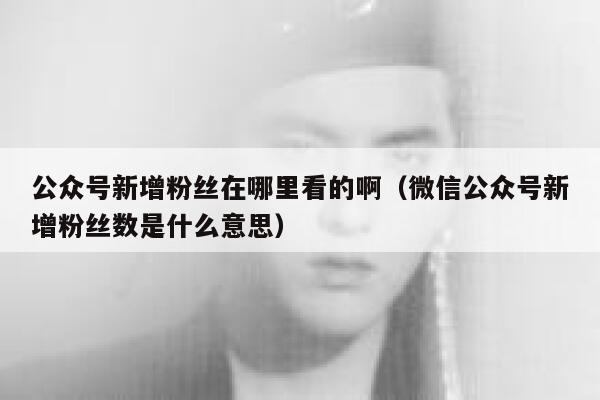 公众号新增粉丝在哪里看的啊（微信公众号新增粉丝数是什么意思） 第1张