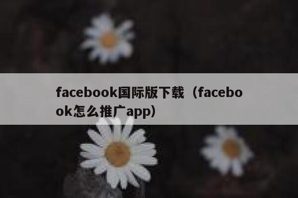 facebook国际版下载（facebook怎么推广app） 第1张