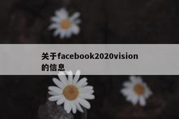 关于facebook2020vision的信息 第1张