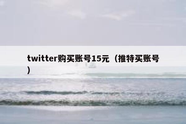 twitter购买账号15元（推特买账号） 第1张