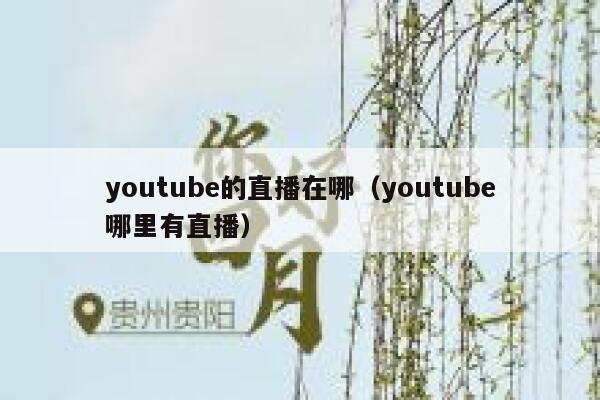 youtube的直播在哪（youtube哪里有直播） 第1张