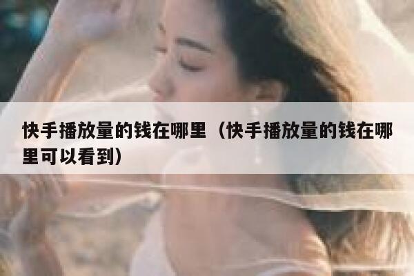 快手播放量的钱在哪里（快手播放量的钱在哪里可以看到） 第1张