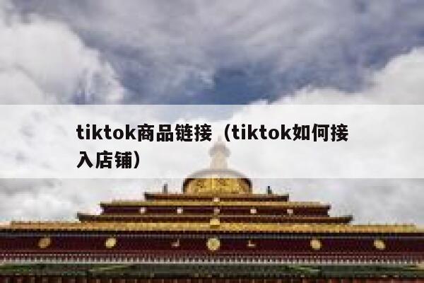 tiktok商品链接（tiktok如何接入店铺） 第1张