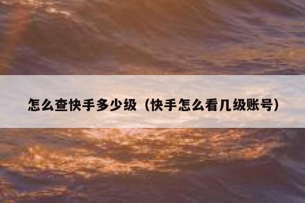 怎么查快手多少级(快手怎么看几级账号) 第1张 怎么查快手多少级(快手怎么看几级账号) 第1张