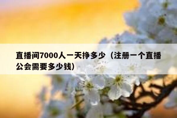 直播间7000人一天挣多少（注册一个直播公会需要多少钱） 第1张