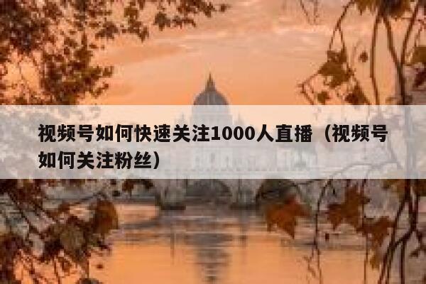 视频号如何快速关注1000人直播（视频号如何关注粉丝） 第1张