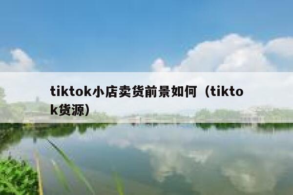 tiktok小店卖货前景如何（tiktok货源） 第1张