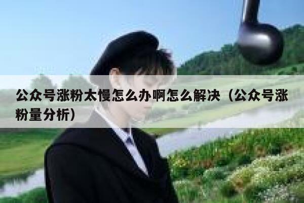 公众号涨粉太慢怎么办啊怎么解决（公众号涨粉量分析） 第1张