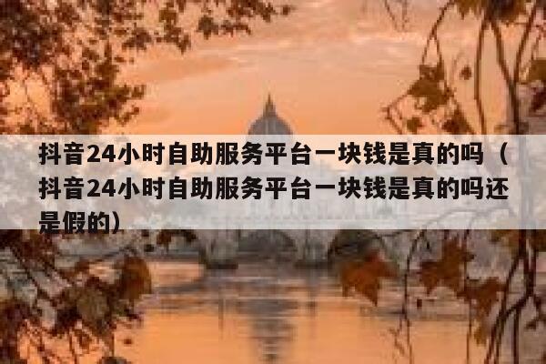 抖音24小时自助服务平台一块钱是真的吗（抖音24小时自助服务平台一块钱是真的吗还是假的） 第1张