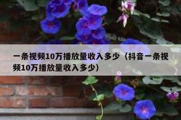 一条视频10万播放量收入多少(抖音一条视频10万播放量收入多少) 第1张 一条视频10万播放量收入多少(抖音一条视频10万播放量收入多少) 第1张