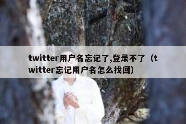 twitter用户名忘记了,登录不了（twitter忘记用户名怎么找回） 第1张