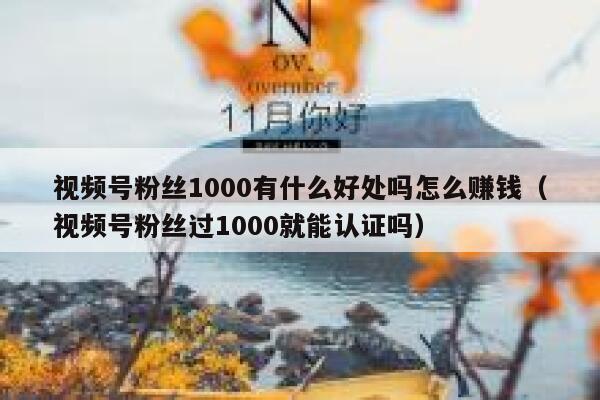视频号粉丝1000有什么好处吗怎么赚钱（视频号粉丝过1000就能认证吗） 第1张