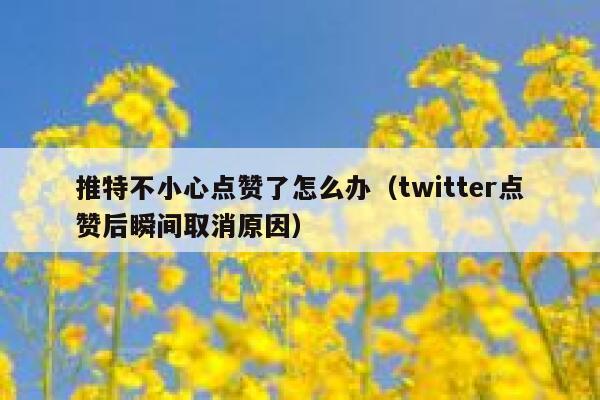 推特不小心点赞了怎么办（twitter点赞后瞬间取消原因） 第1张