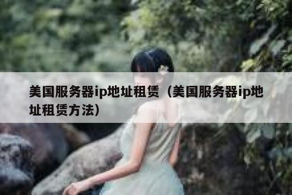 美国服务器ip地址租赁（美国服务器ip地址租赁方法） 第1张