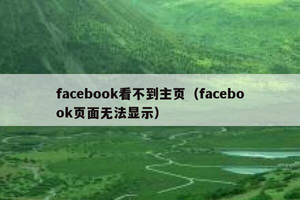 facebook看不到主页（facebook页面无法显示） 第1张