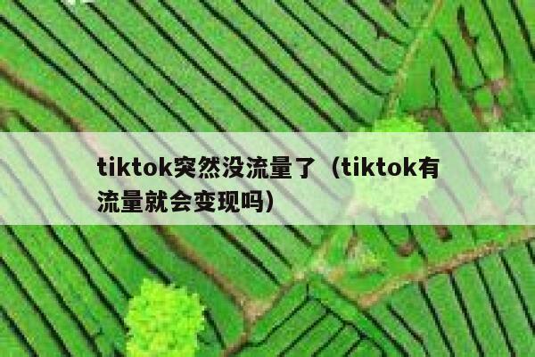 tiktok突然没流量了（tiktok有流量就会变现吗） 第1张