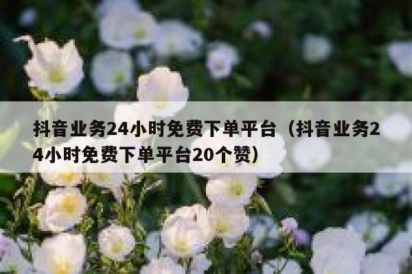 抖音业务24小时免费下单平台（抖音业务24小时免费下单平台20个赞） 第1张