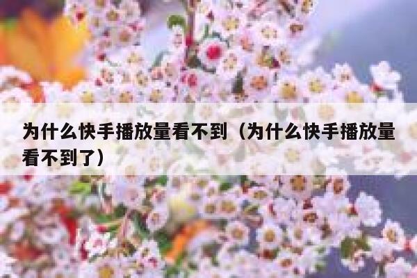 为什么快手播放量看不到（为什么快手播放量看不到了） 第1张