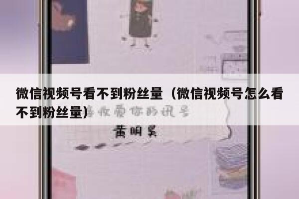 微信视频号看不到粉丝量（微信视频号怎么看不到粉丝量） 第1张