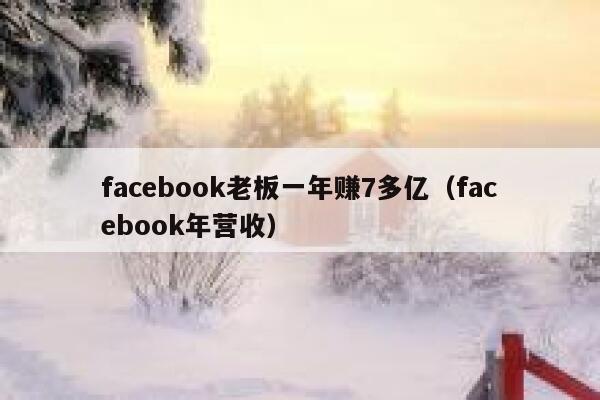 facebook老板一年赚7多亿（facebook年营收） 第1张