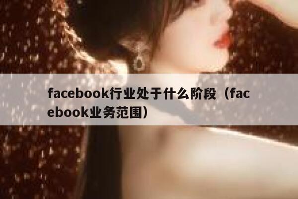 facebook行业处于什么阶段（facebook业务范围） 第1张