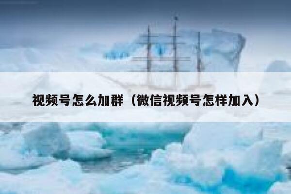 视频号怎么加群（微信视频号怎样加入） 第1张