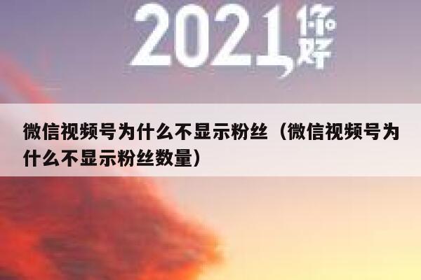 微信视频号为什么不显示粉丝（微信视频号为什么不显示粉丝数量） 第1张