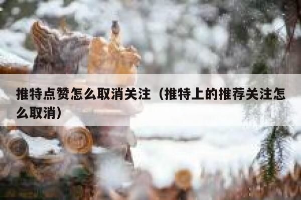 推特点赞怎么取消关注（推特上的推荐关注怎么取消） 第1张