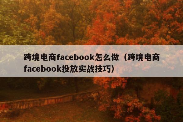 跨境电商facebook怎么做（跨境电商facebook投放实战技巧） 第1张