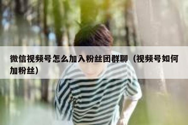 微信视频号怎么加入粉丝团群聊（视频号如何加粉丝） 第1张