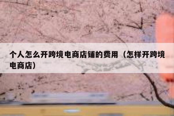 个人怎么开跨境电商店铺的费用（怎样开跨境电商店） 第1张
