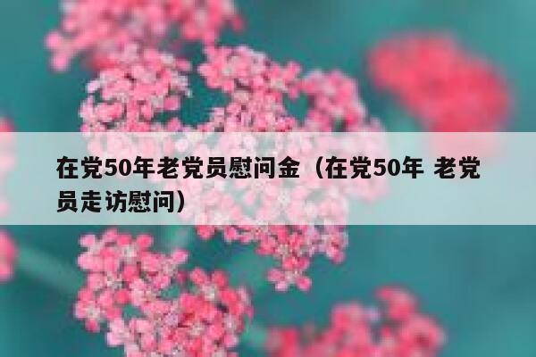 在党50年老党员慰问金（在党50年 老党员走访慰问） 第1张