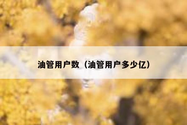 油管用户数(油管用户多少亿) 第1张 油管用户数(油管用户多少亿) 第1张