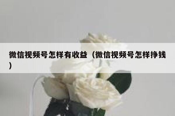 微信视频号怎样有收益（微信视频号怎样挣钱） 第1张