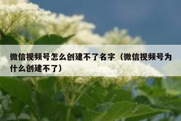 微信视频号怎么创建不了名字（微信视频号为什么创建不了） 第1张