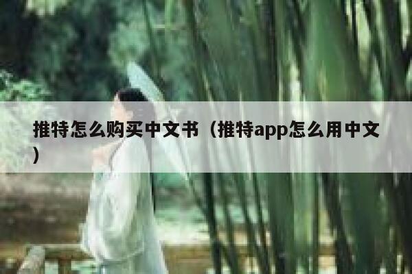 推特怎么购买中文书（推特app怎么用中文） 第1张