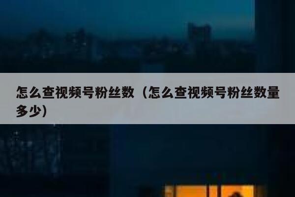 怎么查视频号粉丝数（怎么查视频号粉丝数量多少） 第1张