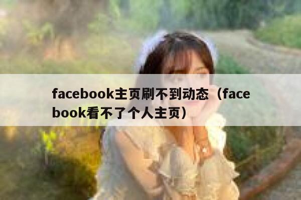 facebook主页刷不到动态（facebook看不了个人主页） 第1张